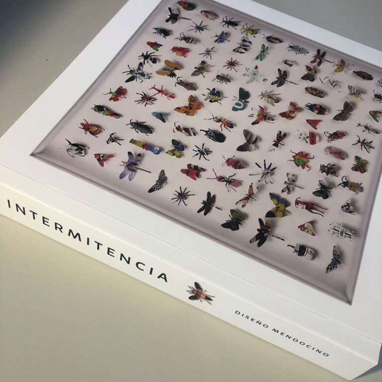 Intermitencia, El libro que recopila la historia del diseño de Mendoza.